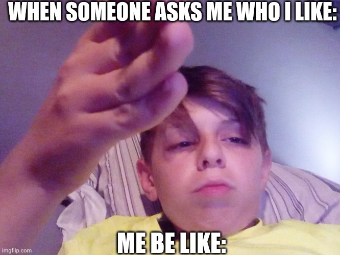 Memes #2 | WHEN SOMEONE ASKS ME WHO I LIKE:; ME BE LIKE: | image tagged in my first meme template | made w/ Imgflip meme maker