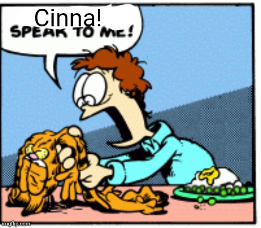 Garfield speak to me! | Cinna! | image tagged in garfield speak to me | made w/ Imgflip meme maker