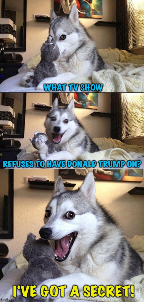 Bad Pun Dog | WHAT TV SHOW; REFUSES TO HAVE DONALD TRUMP ON? I'VE GOT A SECRET! | image tagged in memes,bad pun dog | made w/ Imgflip meme maker