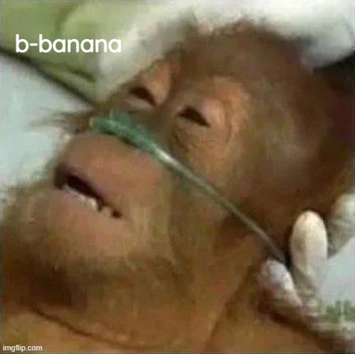 b-banana | made w/ Imgflip meme maker