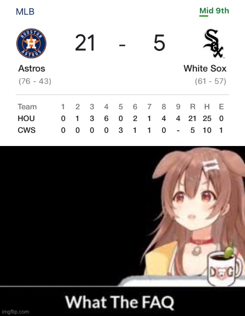 WHAT | image tagged in mlb baseball,hololive | made w/ Imgflip meme maker