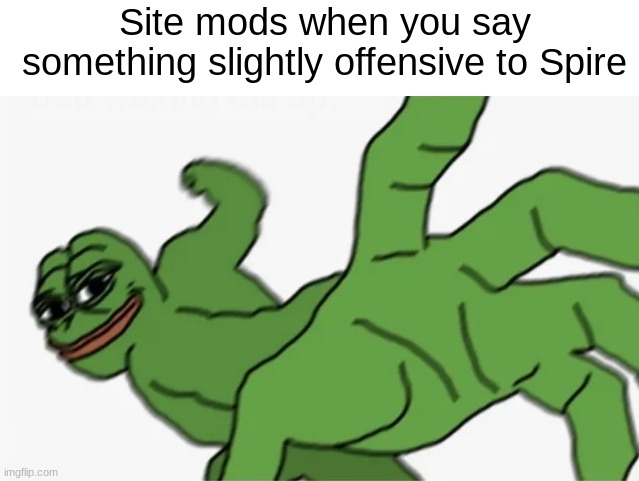 MSMGSOC is a dictatorship, no free speech please. | Site mods when you say something slightly offensive to Spire | made w/ Imgflip meme maker