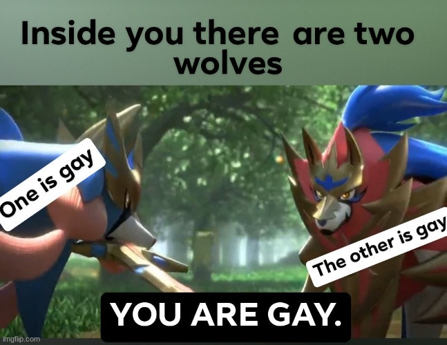 gay wolfs | image tagged in gay | made w/ Imgflip meme maker