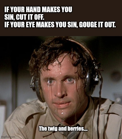 Sweating on commute after jiu-jitsu | IF YOUR HAND MAKES YOU SIN, CUT IT OFF.
IF YOUR EYE MAKES YOU SIN, GOUGE IT OUT. The twig and berries.... | image tagged in sweating on commute after jiu-jitsu | made w/ Imgflip meme maker