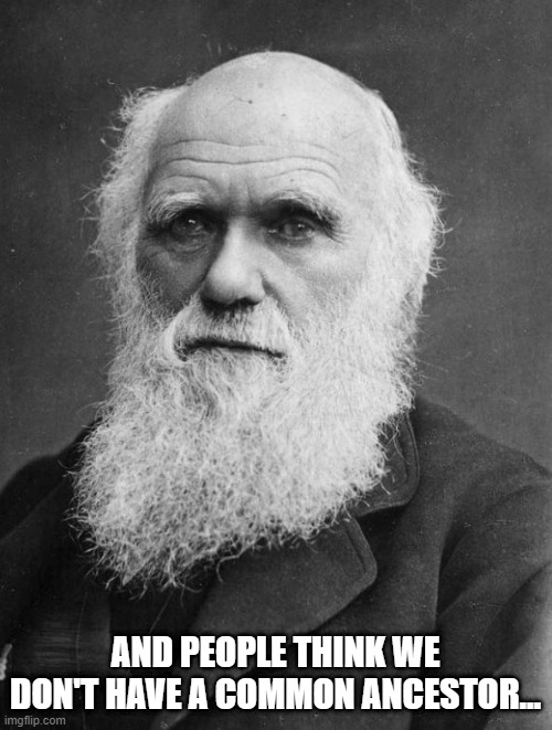 Charles Darwin | AND PEOPLE THINK WE DON'T HAVE A COMMON ANCESTOR... | image tagged in charles darwin | made w/ Imgflip meme maker