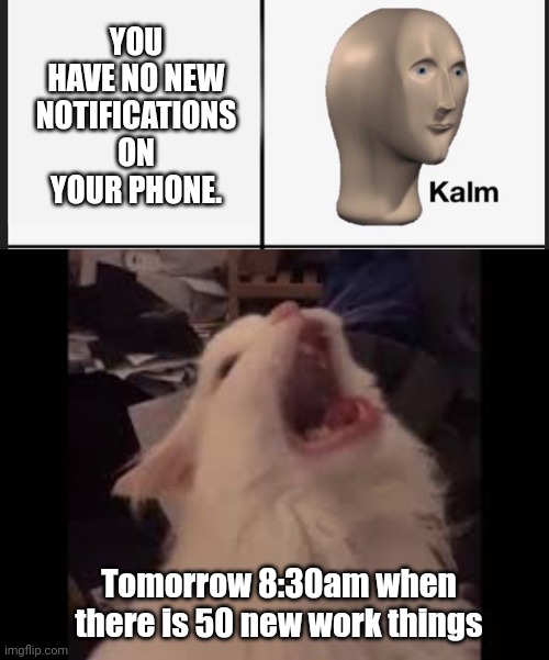 Working in IT be like.... | YOU HAVE NO NEW NOTIFICATIONS ON YOUR PHONE. Tomorrow 8:30am when there is 50 new work things | image tagged in memes,panik kalm panik,screamin cat | made w/ Imgflip meme maker