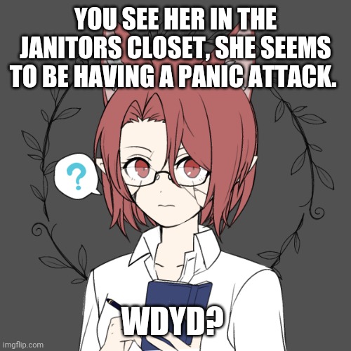 Rules in tags | YOU SEE HER IN THE JANITORS CLOSET, SHE SEEMS TO BE HAVING A PANIC ATTACK. WDYD? | image tagged in no joke,no bambi,no erp wtf,romance allowed | made w/ Imgflip meme maker