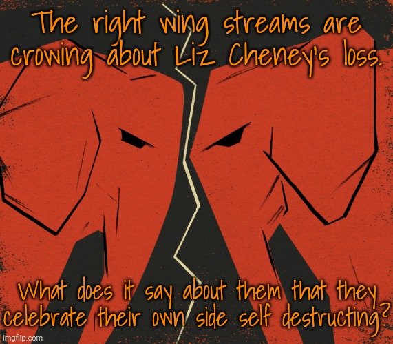 Cutting off your nose to spite your face. | The right wing streams are crowing about Liz Cheney's loss. What does it say about them that they celebrate their own side self destructing? | image tagged in republican vs republican,conservative logic,trump to gop,worst mistake of my life | made w/ Imgflip meme maker