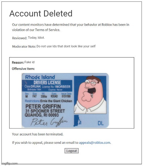 Idk | Account Deleted; Today, Idiot. Do not use Ids that dont look like your self; Fake id | image tagged in moderation system | made w/ Imgflip meme maker