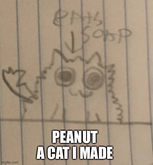 They do eat soap | PEANUT 
A CAT I MADE | made w/ Imgflip meme maker