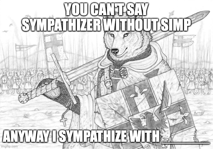 say this but with your own template and fill in the blank | YOU CAN'T SAY SYMPATHIZER WITHOUT SIMP; ANYWAY I SYMPATHIZE WITH ______ | image tagged in fursader | made w/ Imgflip meme maker