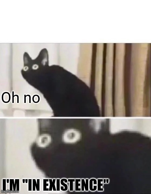 Oh No Black Cat | Oh no I'M "IN EXISTENCE" | image tagged in oh no black cat | made w/ Imgflip meme maker