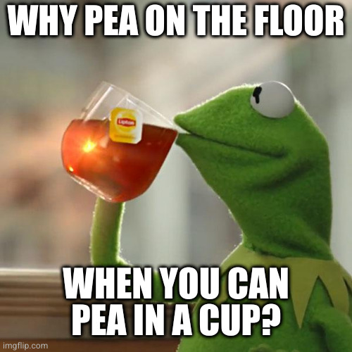 But That's None Of My Business Meme | WHY PEA ON THE FLOOR WHEN YOU CAN PEA IN A CUP? | image tagged in memes,but that's none of my business,kermit the frog | made w/ Imgflip meme maker