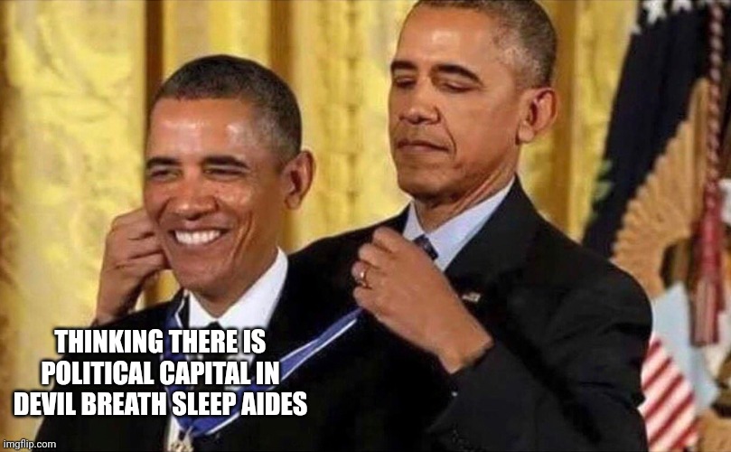 Food desert, hard working women, philosophy of law... And all the bullshit | THINKING THERE IS POLITICAL CAPITAL IN DEVIL BREATH SLEEP AIDES | image tagged in obama medal | made w/ Imgflip meme maker