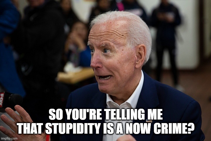 Old Uncle Joe | SO YOU'RE TELLING ME THAT STUPIDITY IS A NOW CRIME? | image tagged in old uncle joe | made w/ Imgflip meme maker