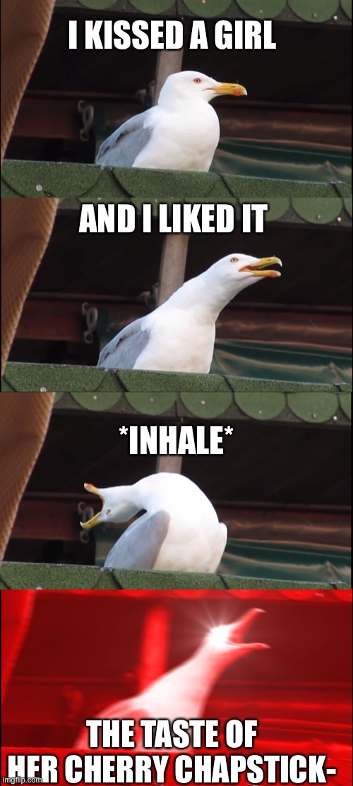 Inhaling Seagull | I KISSED A GIRL; AND I LIKED IT; *INHALE*; THE TASTE OF HER CHERRY CHAPSTICK- | image tagged in memes,inhaling seagull | made w/ Imgflip meme maker