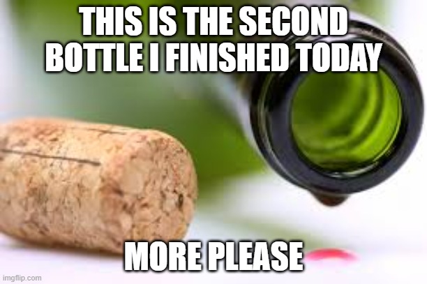empty wine bottle | THIS IS THE SECOND BOTTLE I FINISHED TODAY; MORE PLEASE | image tagged in empty wine bottle,memes,president_joe_biden | made w/ Imgflip meme maker