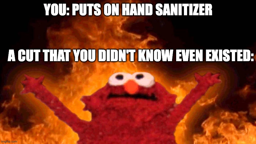 elmo fire | YOU: PUTS ON HAND SANITIZER; A CUT THAT YOU DIDN'T KNOW EVEN EXISTED: | image tagged in elmo fire | made w/ Imgflip meme maker