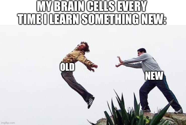 Every Time I Learn Something New | MY BRAIN CELLS EVERY TIME I LEARN SOMETHING NEW:; OLD; NEW | image tagged in brain cells,brain,learn something new,out with the old in with the new,expanding brain | made w/ Imgflip meme maker