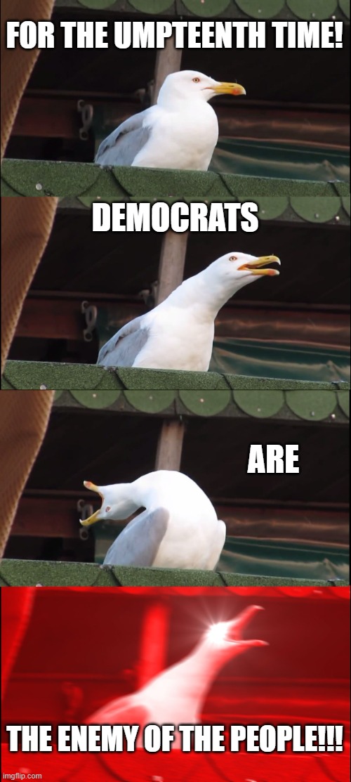 Change My Mind About Democrats | FOR THE UMPTEENTH TIME! DEMOCRATS; ARE; THE ENEMY OF THE PEOPLE!!! | image tagged in memes,inhaling seagull,politics,government corruption,democrats,corruption | made w/ Imgflip meme maker