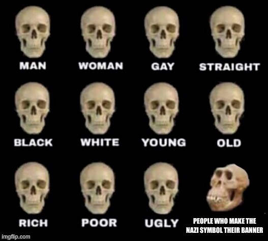 idiot skull | PEOPLE WHO MAKE THE NAZI SYMBOL THEIR BANNER | image tagged in idiot skull,why,like why | made w/ Imgflip meme maker