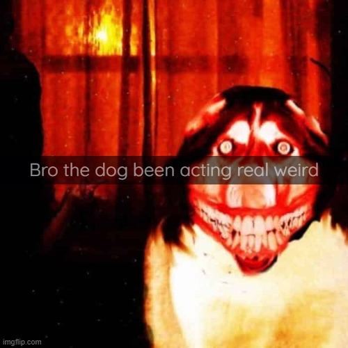Bro the dog been acting real weird | made w/ Imgflip meme maker
