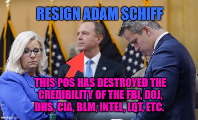Resign Adam Schiff | RESIGN ADAM SCHIFF; THIS POS HAS DESTROYED THE CREDIBILITY OF THE FBI, DOJ, DHS, CIA, BLM, INTEL, LQT, ETC. | image tagged in schiff kinzinger cheney | made w/ Imgflip meme maker
