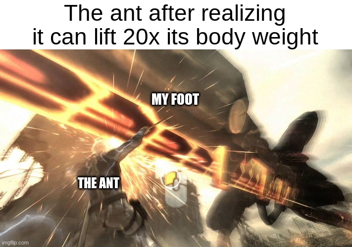 Rules of Nature | The ant after realizing it can lift 20x its body weight; MY FOOT; THE ANT | image tagged in meme template | made w/ Imgflip meme maker