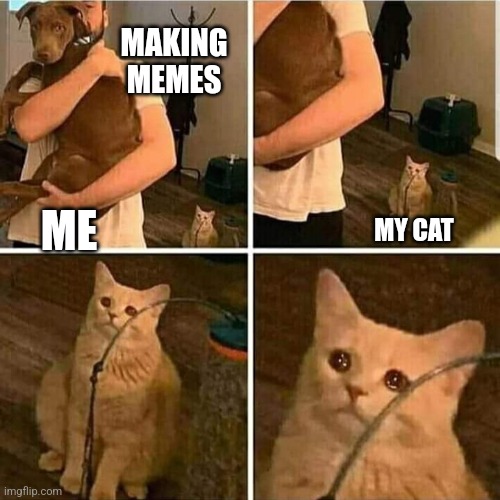 Cat issues | MAKING MEMES; ME; MY CAT | image tagged in sad cat holding dog,cats,funny memes,crying cat | made w/ Imgflip meme maker