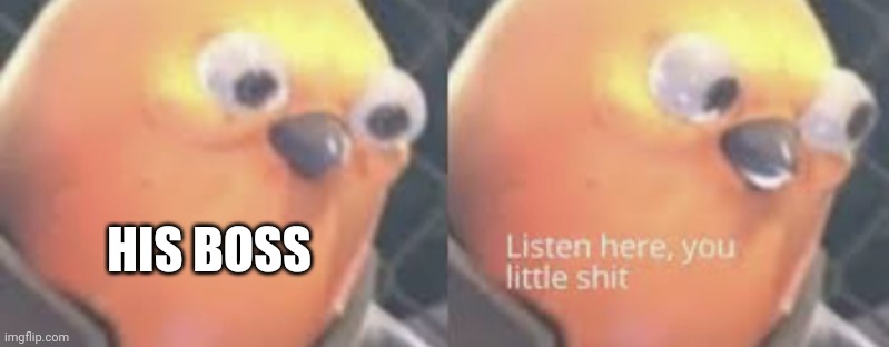 Listen here you little shit bird | HIS BOSS | image tagged in listen here you little shit bird | made w/ Imgflip meme maker