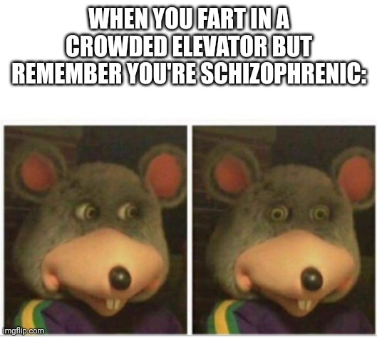 chuck e cheese rat stare | WHEN YOU FART IN A CROWDED ELEVATOR BUT REMEMBER YOU'RE SCHIZOPHRENIC: | image tagged in chuck e cheese rat stare | made w/ Imgflip meme maker