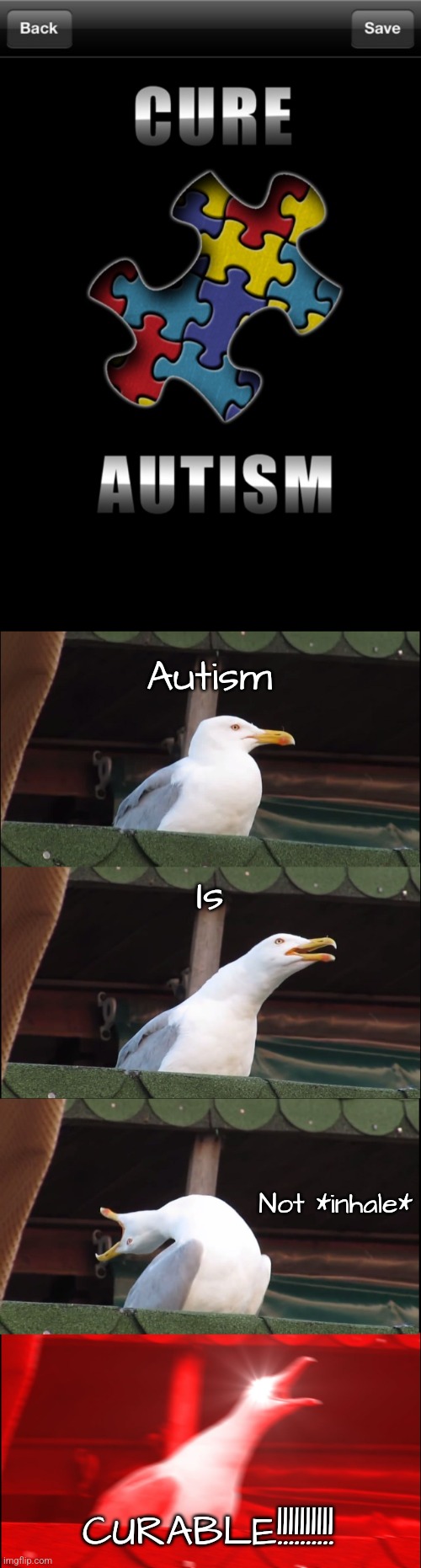 Found this on the internet.. don't belive me? I saw this when I looked up 'cure autism wallpaper' | Autism; Is; Not *inhale*; CURABLE!!!!!!!!!! | image tagged in memes,inhaling seagull,reeeeeeeeeeeeeeeeeeeeee,why | made w/ Imgflip meme maker
