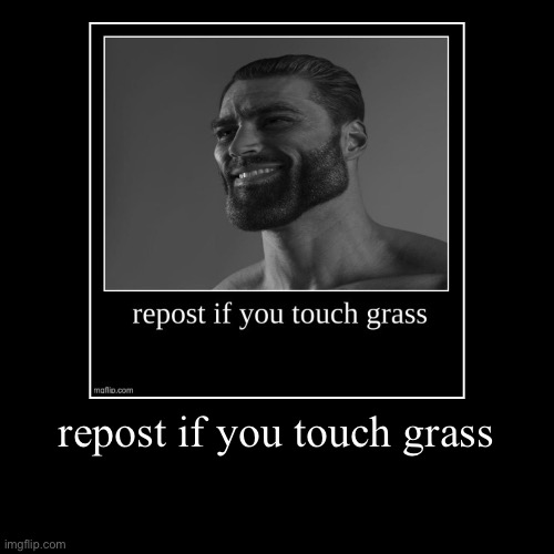 do you touch grass? | image tagged in funny,demotivationals,memes,oh wow are you actually reading these tags,repost | made w/ Imgflip demotivational maker