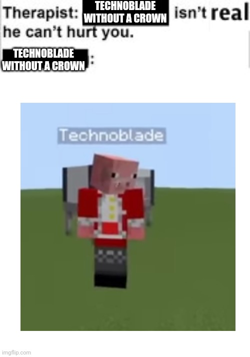 What have you done to him..... | TECHNOBLADE WITHOUT A CROWN; TECHNOBLADE WITHOUT A CROWN | image tagged in memes | made w/ Imgflip meme maker