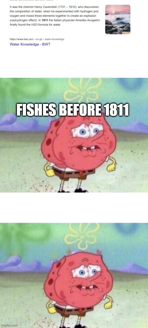 waitt thats pretty illegal | FISHES BEFORE 1811 | image tagged in white rectangle,spongebob holding breath | made w/ Imgflip meme maker