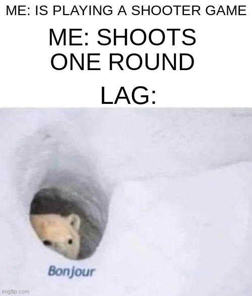 Bonjour | ME: IS PLAYING A SHOOTER GAME; ME: SHOOTS ONE ROUND; LAG: | image tagged in bonjour | made w/ Imgflip meme maker