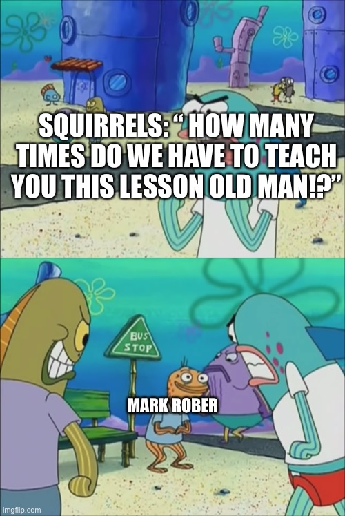 Mark Rober vs. Squirrels | SQUIRRELS: “ HOW MANY TIMES DO WE HAVE TO TEACH YOU THIS LESSON OLD MAN!?”; MARK ROBER | image tagged in how many times do we have to teach you this lesson | made w/ Imgflip meme maker