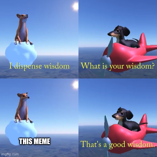 That's a good wisdom | THIS MEME | image tagged in that's a good wisdom | made w/ Imgflip meme maker