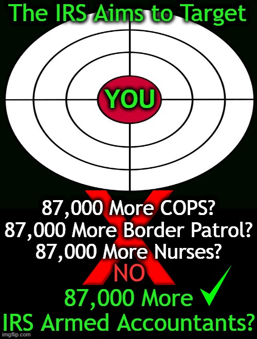 Sights are Directly on YOU . . . | The IRS Aims to Target; YOU; 87,000 More COPS?
87,000 More Border Patrol?
87,000 More Nurses? NO; 87,000 More
IRS Armed Accountants? | image tagged in politics,i r s,nwo,target,target practice,taxes | made w/ Imgflip meme maker