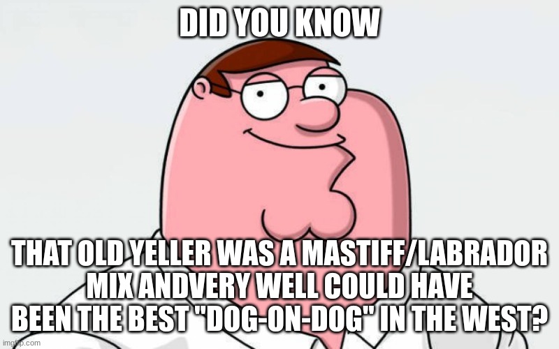 Titleist | DID YOU KNOW; THAT OLD YELLER WAS A MASTIFF/LABRADOR MIX ANDVERY WELL COULD HAVE BEEN THE BEST "DOG-ON-DOG" IN THE WEST? | image tagged in petah | made w/ Imgflip meme maker