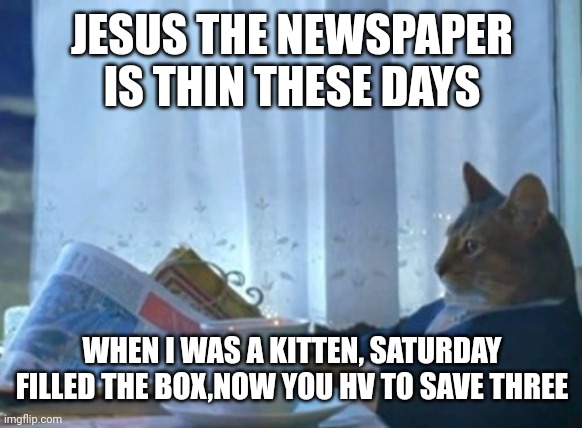 I Should Buy A Boat Cat | JESUS THE NEWSPAPER IS THIN THESE DAYS; WHEN I WAS A KITTEN, SATURDAY FILLED THE BOX,NOW YOU HV TO SAVE THREE | image tagged in memes,i should buy a boat cat | made w/ Imgflip meme maker