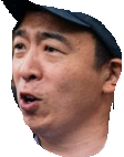 andrew yang Meme Template