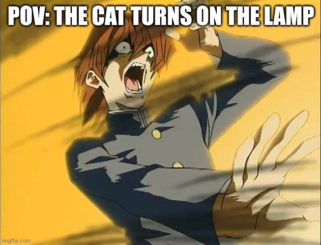 POV: THE CAT TURNS ON THE LAMP | image tagged in kaiba loses to exodia | made w/ Imgflip meme maker