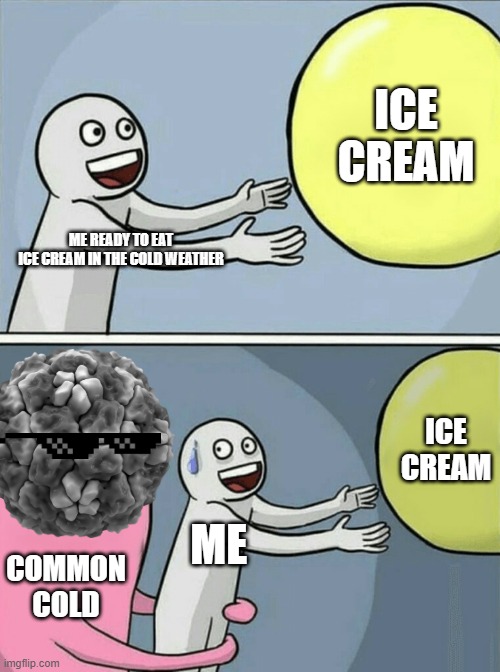 me want to eat ice cream in the cold weather | ICE CREAM; ME READY TO EAT
ICE CREAM IN THE COLD WEATHER; ICE CREAM; ME; COMMON COLD | image tagged in memes,running away balloon | made w/ Imgflip meme maker