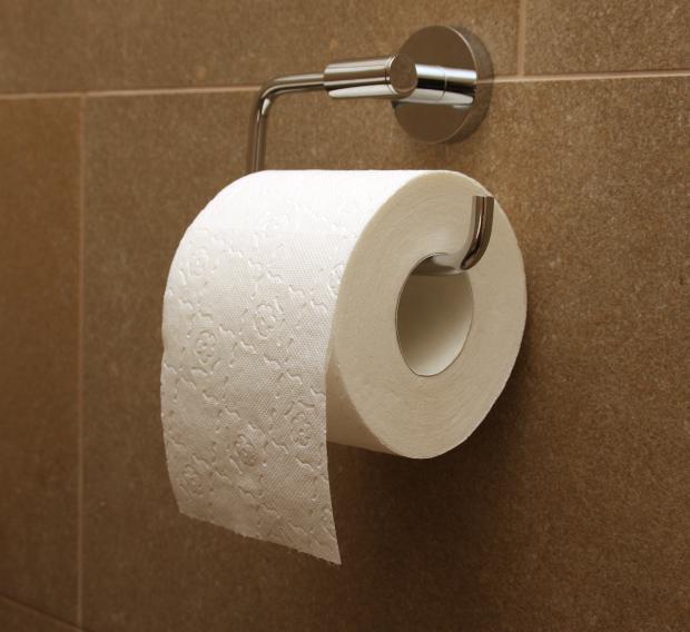 Toilet Paper Blank Meme Template