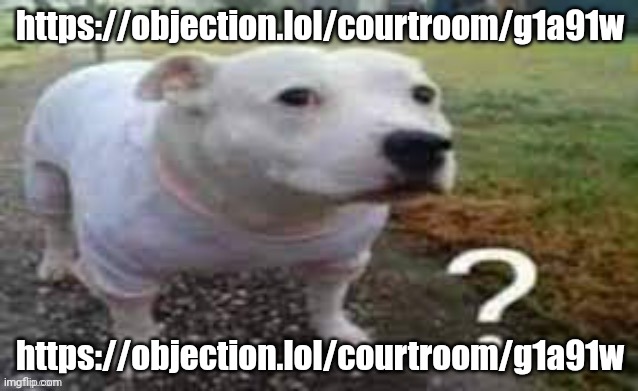 https://objection.lol/courtroom/g1a91w | https://objection.lol/courtroom/g1a91w; https://objection.lol/courtroom/g1a91w | image tagged in dog question mark | made w/ Imgflip meme maker