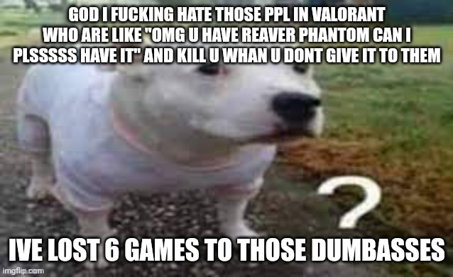 Dog question mark | GOD I FUCKING HATE THOSE PPL IN VALORANT WHO ARE LIKE "OMG U HAVE REAVER PHANTOM CAN I PLSSSSS HAVE IT" AND KILL U WHAN U DONT GIVE IT TO THEM; IVE LOST 6 GAMES TO THOSE DUMBASSES | image tagged in dog question mark | made w/ Imgflip meme maker