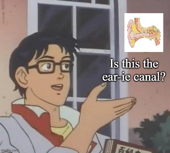 Which Canal is this? | Is this the ear-ie canal? | image tagged in memes,is this a pigeon,ear | made w/ Imgflip meme maker