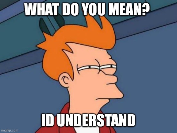 Futurama Fry Meme | WHAT DO YOU MEAN? ID UNDERSTAND | image tagged in memes,futurama fry | made w/ Imgflip meme maker