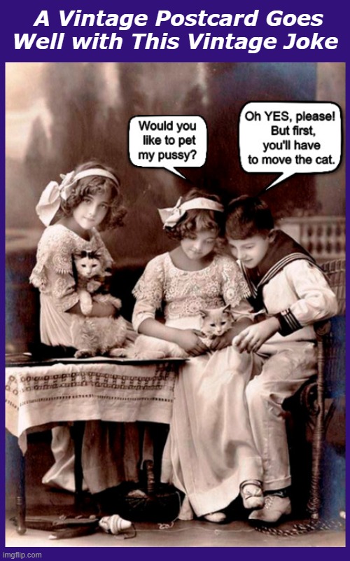 A Vintage Postcard Goes Well with This Vintage Joke | image tagged in pussy,pussycat,cat,postcard,joke,funny memes | made w/ Imgflip meme maker